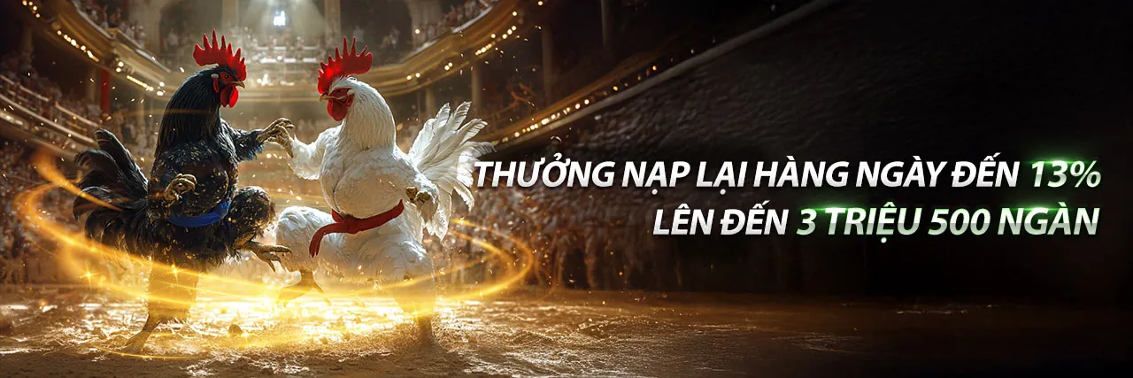 Hình ảnh đá gà trực tuyến tại luck8 link mới